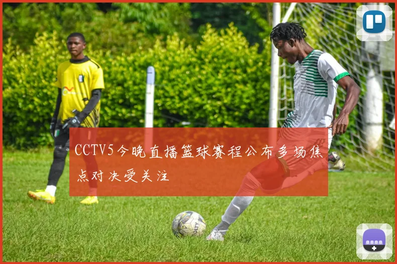 CCTV5今晚直播篮球赛程公布多场焦点对决受关注