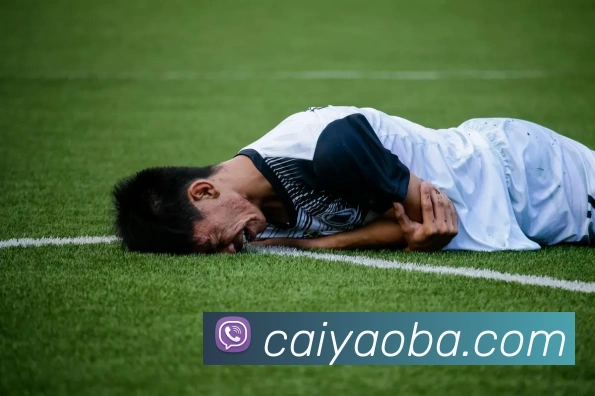 App Interface Preview